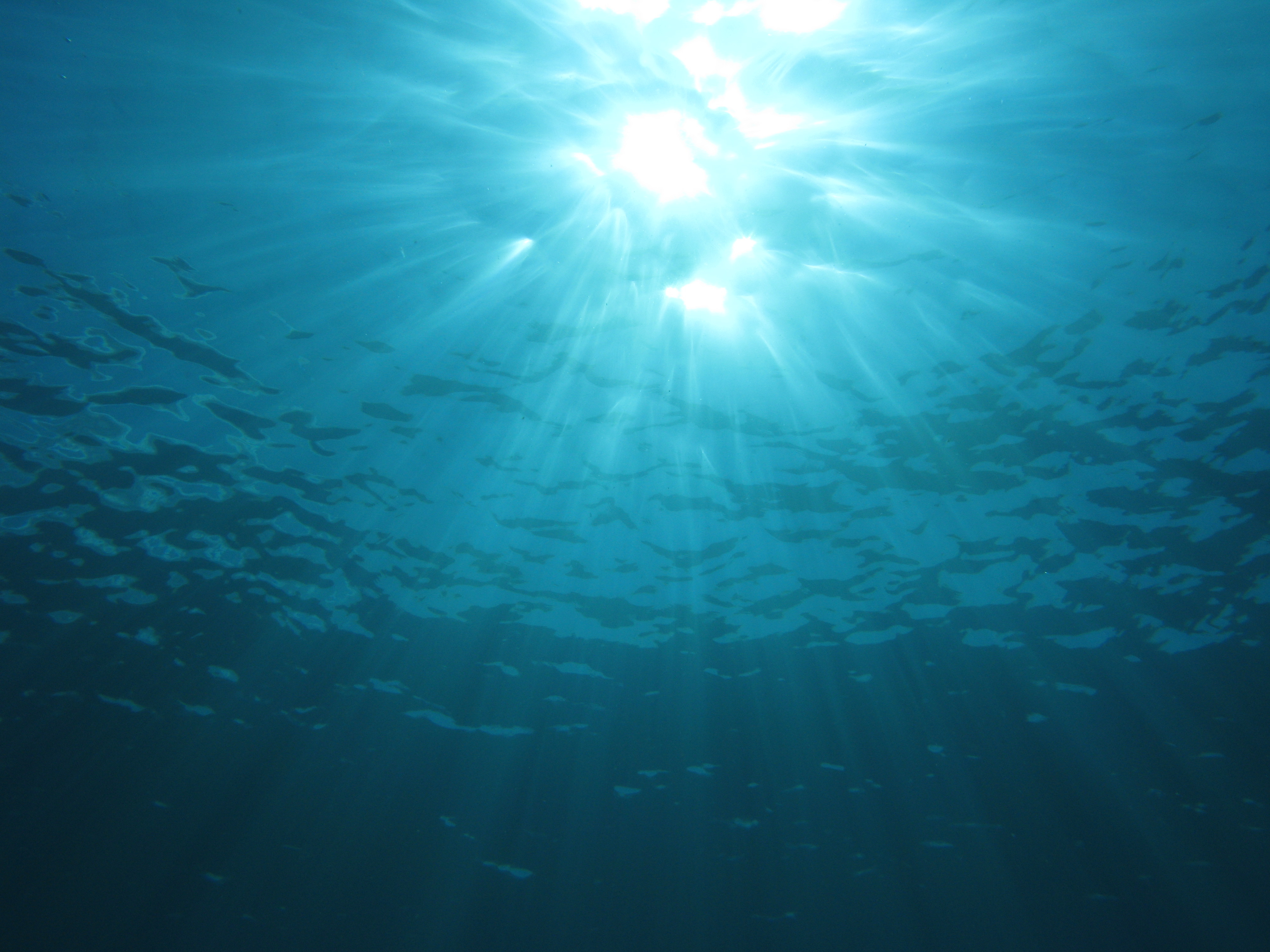 Поверхность воды снизу. Под водой. Дно океана. Океаны. Глубина. Солнце под водой.